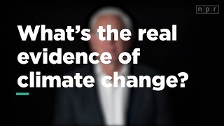 Whats Real Evidence of Climate Change  Lets Talk  NPR [upl. by Fleeta536]