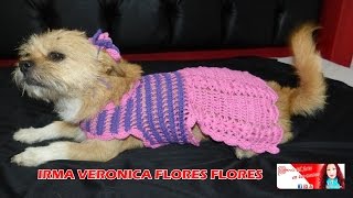 COMO TEJER VESTIDO PARA MASCOTA TEJIDO A CROCHET O GANCHILLO PASO A PASO [upl. by Leavelle]