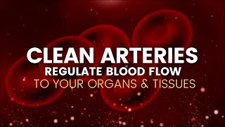 Clean Arteries  Regulate Blood Flow to Your Organs and Tissues  Remove Plaque from Arteries741Hz [upl. by Ahcorb625]