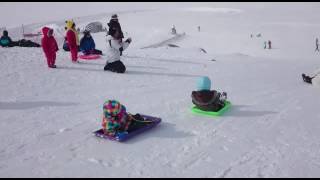 Snowy mountain toboggan snow play [upl. by Anerys857]