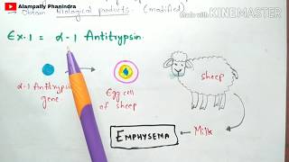 Animal Transgenesis  Transgenic animals  Process  Examples  Bio science [upl. by Htebizile]