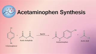 Acetaminophen Synthesis Mechanism  Organic Chemistry [upl. by Ariait]