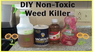 DIY NonToxic Weed Killer  Quick amp Super Easy [upl. by Nohtanoj990]