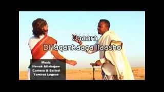 Dhaanto Axmed Budul Iyo Nimco Dareen [upl. by Boycie]