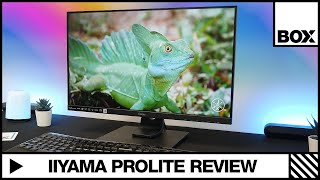 Iiyama Prolite XUB2492HSNB1 24 USBC Docking Monitor Review [upl. by Nirac272]