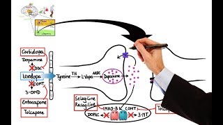 Pharmacology  DRUGS FOR PARKINSONS DISEASE MADE EASY [upl. by Asehr828]