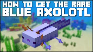 Minecraft  How To Get The Rare Blue Axolotl JavaBedrock [upl. by Anoik479]