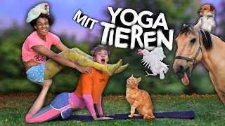 YOGA CHALLENGE mit meinen TIEREN  Joeys Jungle [upl. by Dionisio]