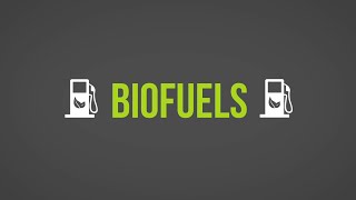 Biofuels 101 [upl. by Gautier]