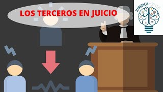 LOS TERCEROS EN JUICIO [upl. by Krishna]