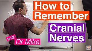 How To Remember Cranial Nerves [upl. by Ataynek]