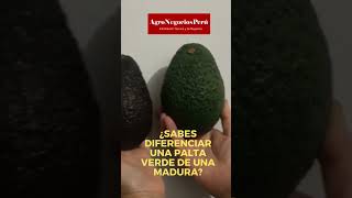 La Palta  Video Post Marca Chile [upl. by Paehpos]