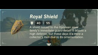 Royal Shield  Respawn Location  Zelda BOTW [upl. by Essie279]