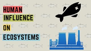 IGCSE BIOLOGY REVISION Syllabus 21 Human Influence On Ecosystem [upl. by Corneille400]