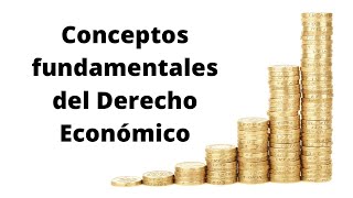 CONCEPTOS FUNDAMENTALES DEL DERECHO ECONÓMICO [upl. by Iran35]