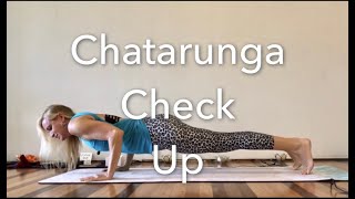 How to Plank to Chaturanga to Up Dog  Vinyasa Yoga Tips [upl. by Nnaharas96]