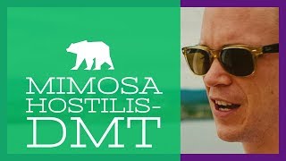 Mimosa Hostilis amp the NATURAL DMT Experience [upl. by Ohs]