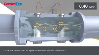 Ultrasonic Flow Sensor [upl. by Ita]