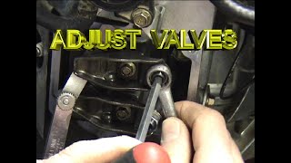 Lawn Mower Repair Valve Adjustment VTwin Briggs [upl. by Indys]