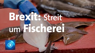 BrexitVerhandlungen Streit um NordseeFischfang [upl. by Samson]