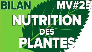 Nutrition des Plantes Bilan MV25SVT CollègeMathrix [upl. by Tirrag]