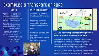 AP Environmental Science 87  Persistent Organic Pollutants POPs [upl. by Cuttie593]