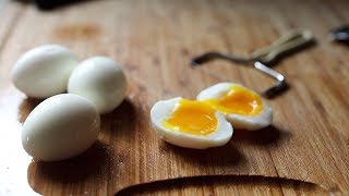 Basic Soft Boiled Egg [upl. by Avitzur]