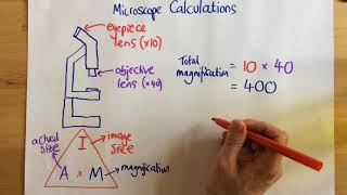 Microscope Calculations  p14 [upl. by Bower]