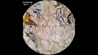 Hornblende tutorial Optical mineralogy [upl. by Hinkel175]