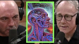 Joe Rogan  Ayahuasca is Amazonian Science wGraham Hancock [upl. by Hecklau218]