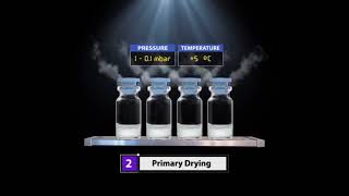 Product Lyophilization Process [upl. by Leksehc]