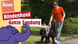 Wie arbeitet ein Blindenhund  Der Elefant  WDR [upl. by Fanechka]