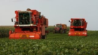 Récolte flageolets 2011 BCMH SB 9000 amp BH 900  beans harvest [upl. by Aztiraj144]