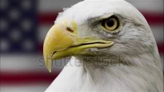 US Military Anthems quotArmed Forces Medleyquot amp National Anthem Loyalty Video [upl. by Ilahsiav746]