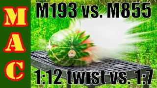 Test Vietnam era M193 ball 112 twist vs Modern M855 ball 17 twist [upl. by Clapper418]