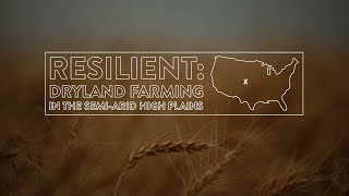 Resilient Dryland Farming in The SemiArid High Plains [upl. by Anoiek]