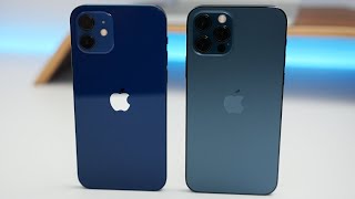 iPhone 12 vs iPhone 12 Pro  Which Should You Choose [upl. by Tacklind]