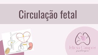 Circulação fetal [upl. by Adnic]