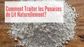 Comment se Débarrasser des Punaises de Lit Naturellement  Comment se Débarrasser des Puces de Lit [upl. by Fergus]