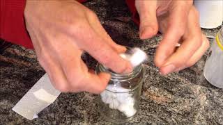 Growing Bean seeds Method 3 Cotton wool [upl. by Rephotsirhc]