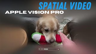 Apple Vision Pro Spatial Video [upl. by Portia]