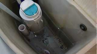 How to remove the water and clean the cistern from a WC cistern that will not flush [upl. by Ynnahc]