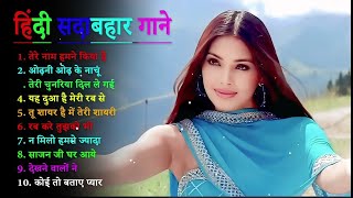 Dil Tera Deewana – Lily Matinez  Official Exclusive [upl. by Lacy672]