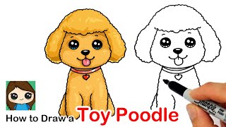 How to Draw a Toy Poodle Puppy Dog Easy [upl. by Yecrad]