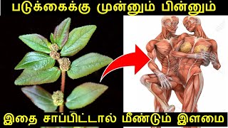 படுக்கைக்கு முன்னும் பின்னும் இதை சாப்பிட்டால் இளமை  Health benefits of Amman Pacharisi in Tamil [upl. by Finella652]