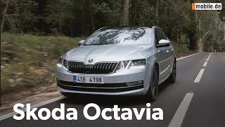 KurzCheck mobilede  Skoda Octavia [upl. by Aicsile]