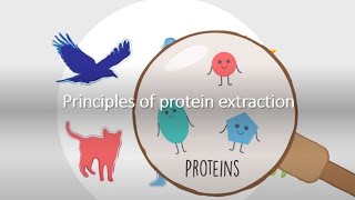 Principles of Protein Extraction [upl. by Lienahs]