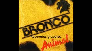 BRONCO quotANIMALquot MIX [upl. by Sera]