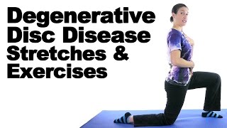 DDD  Degenerative Disc Disease Stretch And Exercise Plan [upl. by Norry936]