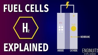 Hydrogen Fuel Cell How It Works [upl. by Akimik]